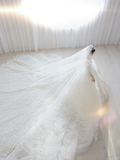 Timeless Ball Gown Tulle Lace Applique Long Sleeves With Veil Long Wedding Dresses HZ1024