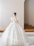 Timeless Ball Gown Tulle Lace Applique Long Sleeves With Veil Long Wedding Dresses HZ1024
