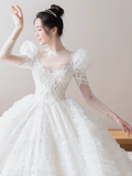 Timeless Ball Gown Tulle Lace Applique Long Sleeves With Veil Long Wedding Dresses HZ1024