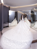 Unique Ball Gown Tulle Lace Applique Long Sleeves Long Wedding Dresses HZ1024