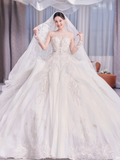 Timeless Ball Gown Tulle Lace Long Sleeves With Veil Long Wedding Dresses HZ1024