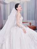 Timeless Ball Gown Tulle Lace Long Sleeves With Veil Long Wedding Dresses HZ1024