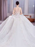 Timeless Ball Gown Tulle Lace Long Sleeves With Veil Long Wedding Dresses HZ1024