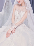 Timeless Ball Gown Tulle Lace Long Sleeves With Veil Long Wedding Dresses HZ1024