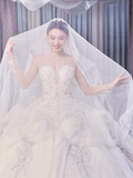 Timeless Ball Gown Tulle Lace Long Sleeves With Veil Long Wedding Dresses HZ1024