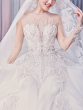 Timeless Ball Gown Tulle Lace Long Sleeves With Veil Long Wedding Dresses HZ1024