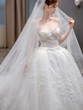 Dreamy Ball Gown Tulle Applique Long Sleeves With Veil Long Wedding Dresses HZ1024