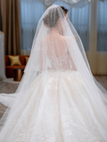 Dreamy Ball Gown Tulle Applique Long Sleeves With Veil Long Wedding Dresses HZ1024