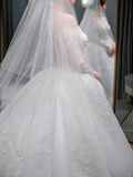 Dreamy Ball Gown Tulle Applique Long Sleeves With Veil Long Wedding Dresses HZ1024
