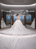 Dreamy Ball Gown Tulle Applique Long Sleeves With Veil Long Wedding Dresses HZ1024
