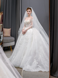 Dreamy Ball Gown Tulle Applique Long Sleeves With Veil Long Wedding Dresses HZ1024