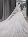 Dreamy Ball Gown Tulle Applique Long Sleeves With Veil Long Wedding Dresses HZ1024