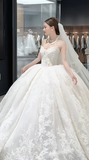 Timeless Ball Gown Strapless Tulle Lace With Veil Long Wedding Dresses HZ1024
