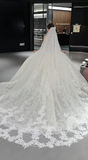 Timeless Ball Gown Strapless Tulle Lace With Veil Long Wedding Dresses HZ1024