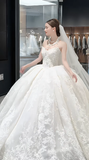 Timeless Ball Gown Strapless Tulle Lace With Veil Long Wedding Dresses HZ1024