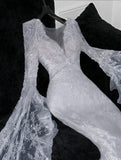 Timeless Mermaid Tulle Lace Long Sleeves Long Wedding Dresses HZ1024