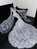 Timeless Mermaid Tulle Lace Long Sleeves Long Wedding Dresses HZ1024