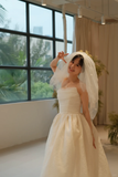 Simple Ball Gown Strapless Satin With Veil Long Wedding Dresses HZ1024