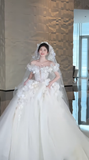 Pretty Ball Gown Strapless Tulle Applique With Veil Long Wedding Dresses HZ1024