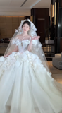 Pretty Ball Gown Strapless Tulle Applique With Veil Long Wedding Dresses HZ1024