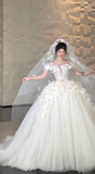 Pretty Ball Gown Strapless Tulle Applique With Veil Long Wedding Dresses HZ1024