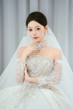 Timeless Ball Gown Strapless Tulle Sequin Beaded With Sleeves Veil Long Wedding Dresses HZ1024