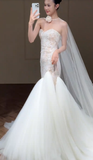 Dreamy Mermaid Sweetheart Tulle Lace Long Wedding Dresses HZ1024