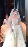 Pretty A Line Spaghetti Straps Tulle Sequin With Veil Long Wedding Dresses HZ1024