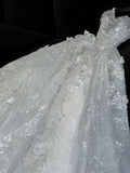 Timeless Ball Gown Spaghetti Straps Tulle Sequin Beads Long Wedding Dresses HZ1024