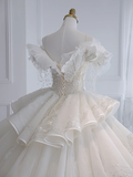 Timeless Ball Gown Off The Shoulder Tulle Sequin Beads Long Wedding Dresses HZ1024