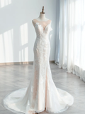 Dreamy Mermaid Tulle Lace Long Wedding Dresses HZ1024
