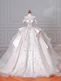 Timeless Ball Gown Off The Shoulder Satin Tulle Lace Sequin Beads Long Wedding Dresses HZ1024
