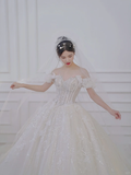 Pretty Ball Gown Off The Shoulder Tulle Sequin With Veil Long Wedding Dresses HZ1024