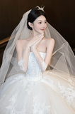 Dreamy Ball Gown Strapless White Tulle Lace With Gloves Veil Long Wedding Dresses HZ1024