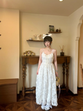 Princess A Line Spaghetti Straps Lace Long Prom Dresses Formal Dress HZ1024
