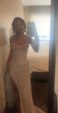 Glitter Mermaid Strapless Sequin Long Prom Dresses Formal Dress HZ1024