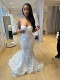 Elegant Mermaid Sweetheart Lace Long Prom Dress,Formal Dress HZ1024