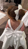 Princess Ball Gown Satin Back With Bow Flower Girl Dress HZ1024