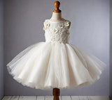 Sweet Ball Gown Satin Tulle Applique Flower Girl Dress HZ1024