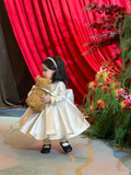 Cute Ball Gown Satin With Long Sleeves Flower Girl Dress HZ1024