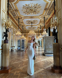 Charming Bodycon Mermaid Spaghetti Straps Satin Long Prom Dress, Evening Dress HZ1024