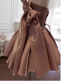 Sexy A line Straps Brown Birthday Outfit Homecoming Dresses HZ1024