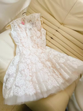Unique A line Scoop Neckline Lace Tulle Homecoming Dress 18th Birthday Outfits HZ1024