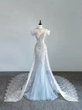 Elegant Mermaid Strapless Long Prom Dress HZ1024